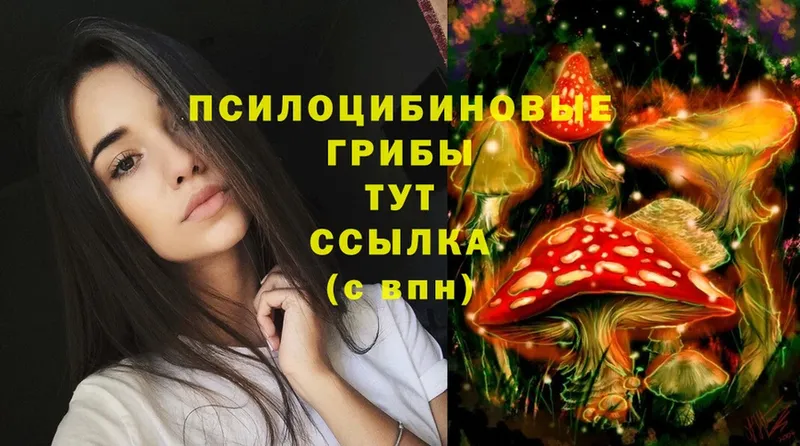 Галлюциногенные грибы Cubensis  MEGA сайт  Бологое 